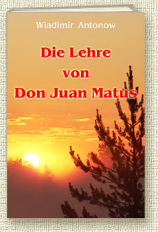 Die Lehre von Don Juan Matus